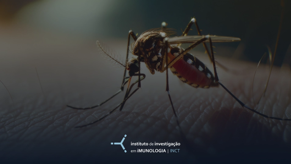 Brasil vai produzir remédio contra Zika