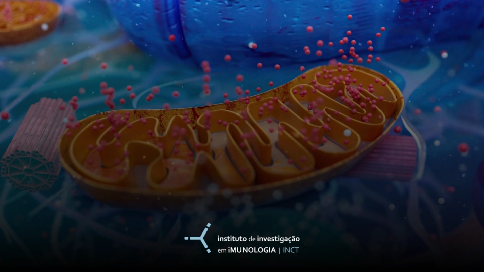 Cardiomiopatia Chagásica Crônica: uma doença mitocondrial?
