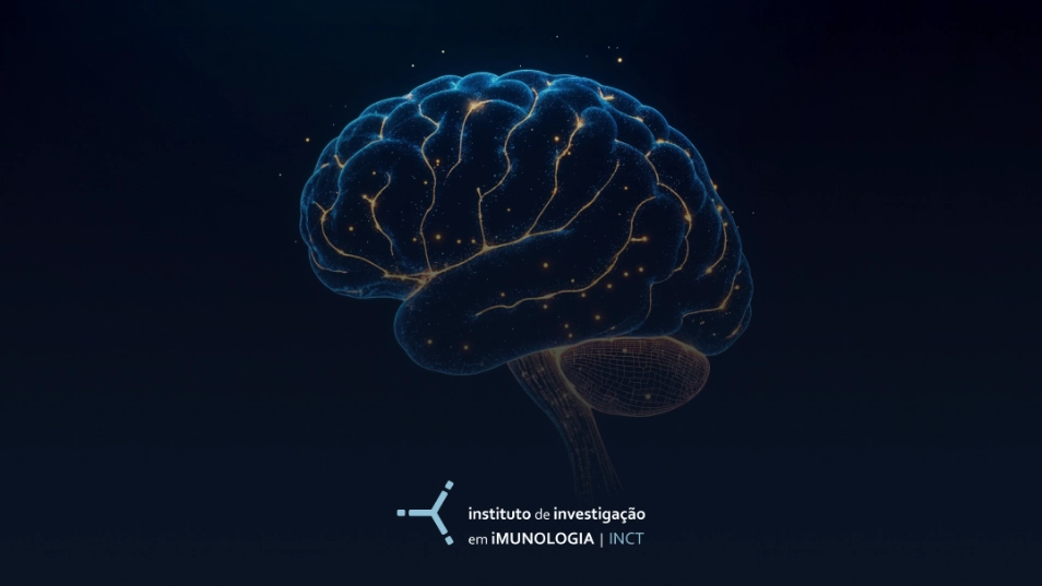 Como cérebro e intestinos conversam