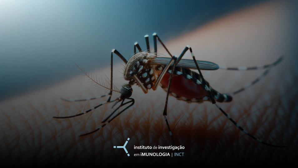 Não devemos esquecer a Febre Chikungunya