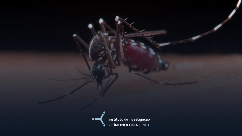 O zika virus não cheira, mas....