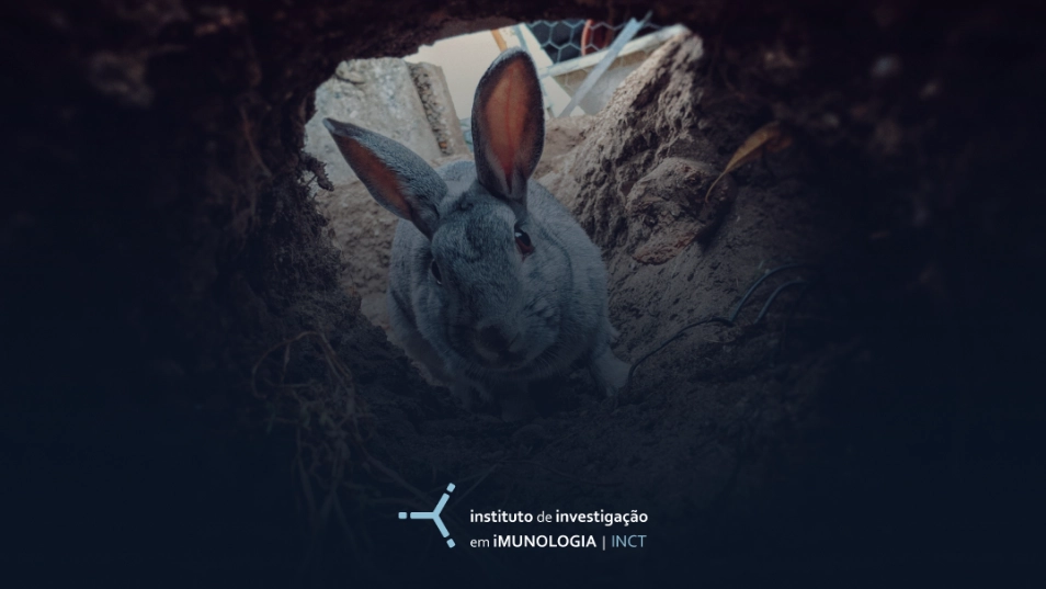 Um imunologista na toca do coelho.