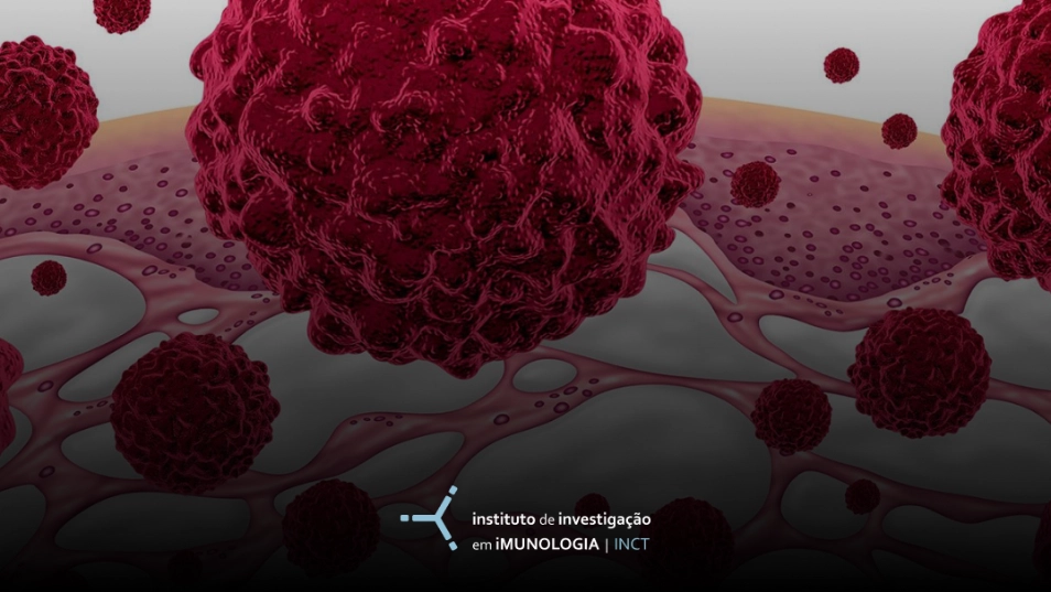 Um novo nicho para explorar: o interstício