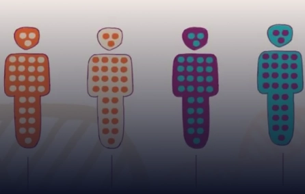 Caracterização clínica, laboratorial e molecular de pacientes com Imunodeficiência Comum Variável no Brasil: abordagem pela medicina de precisão