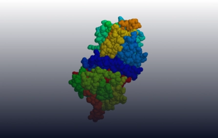 Caracterização fenotípica e genotípica de pacientes portadores de angioedema hereditário