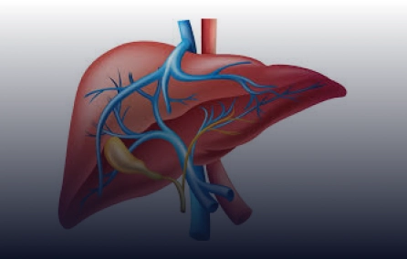 Correlacionar a presença de hipertensão portal (HP) em pacientes com IDCV com possíveis causas infecciosas