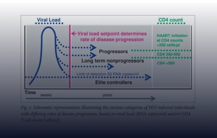 Identificação de possíveis correlatos de proteção na infecção pelo HIV.
