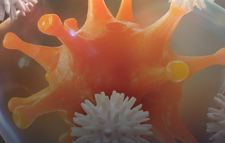 Imunodeficiências primárias