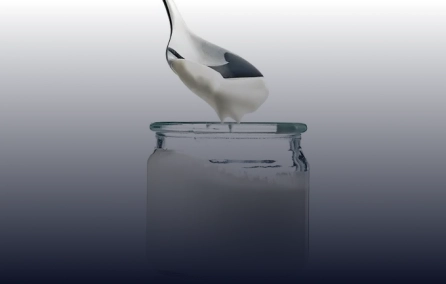 Novas estratégias imunomoduladoras para doenças inflamatórias crônicas: componentes dietéticos e bactérias láticas