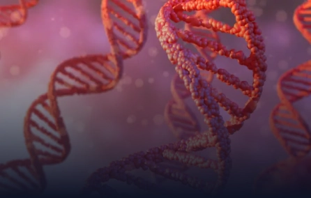 Patogênese, diagnóstico e tratamento de pacientes com doenças alérgicas e imunológicas, baseando-se em situações clínicas vividas pelos pacientes.