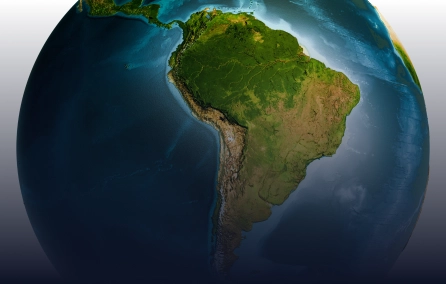 Perfil de sensibilização de IgE a um painel abrangente de componentes moleculares de alérgenos em indivíduos da América Latina