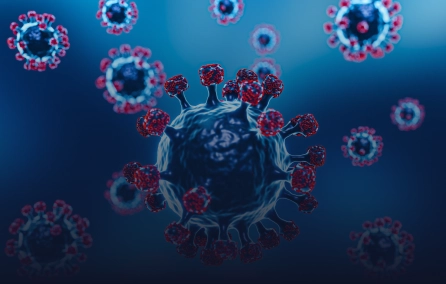 Resposta imune específica humoral e celular na COVID-19 e após vacinação