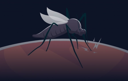 Resposta imune na infecção por arboviroses, em especial ZIKA vírus, e em doenças emergentes.