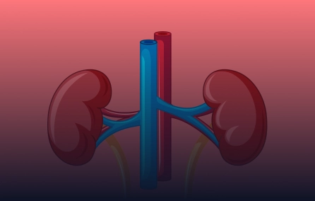 Tolerância operacional no transplante renal humano: